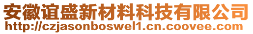 安徽誼盛新材料科技有限公司