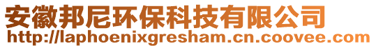 安徽邦尼環(huán)保科技有限公司