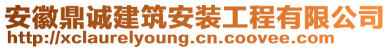 安徽鼎誠建筑安裝工程有限公司