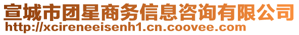 宣城市团星商务信息咨询有限公司