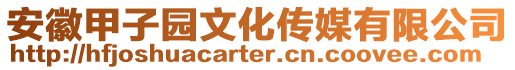 安徽甲子園文化傳媒有限公司