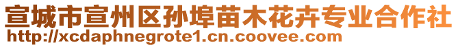 宣城市宣州區(qū)孫埠苗木花卉專業(yè)合作社