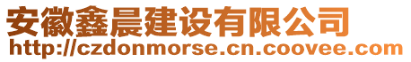 安徽鑫晨建設(shè)有限公司