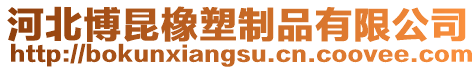 河北博昆橡塑制品有限公司