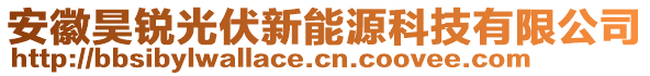 安徽昊銳光伏新能源科技有限公司