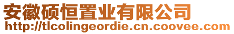 安徽碩恒置業(yè)有限公司