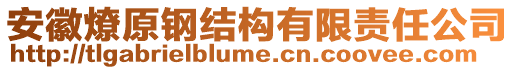 安徽燎原鋼結(jié)構(gòu)有限責(zé)任公司