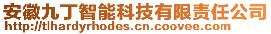 安徽九丁智能科技有限责任公司