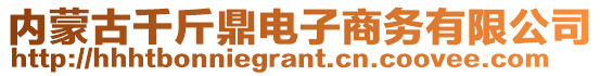 内蒙古千斤鼎电子商务有限公司