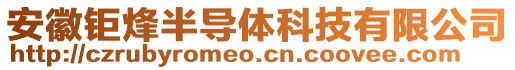 安徽鉅烽半導體科技有限公司