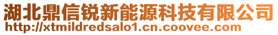 湖北鼎信锐新能源科技有限公司