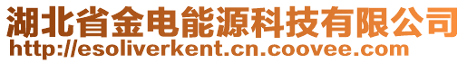 湖北省金电能源科技有限公司