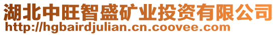 湖北中旺智盛礦業(yè)投資有限公司