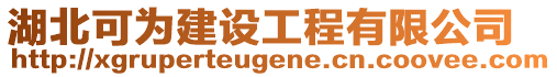 湖北可為建設工程有限公司