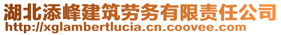 湖北添峰建筑勞務(wù)有限責(zé)任公司