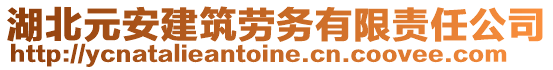 湖北元安建筑勞務有限責任公司