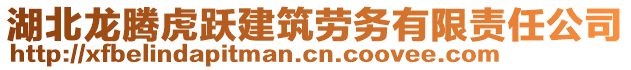 湖北龍騰虎躍建筑勞務(wù)有限責(zé)任公司