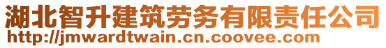 湖北智升建筑勞務有限責任公司