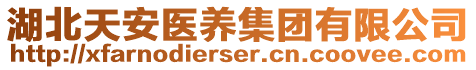 湖北天安醫(yī)養(yǎng)集團(tuán)有限公司