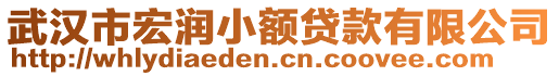 武漢市宏潤(rùn)小額貸款有限公司