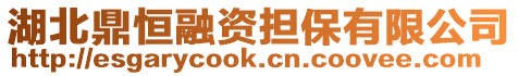 湖北鼎恒融資擔(dān)保有限公司