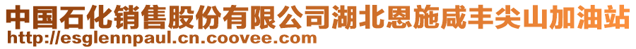 中国石化销售股份有限公司湖北恩施咸丰尖山加油站