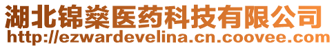 湖北錦燊醫(yī)藥科技有限公司