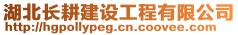 湖北長(zhǎng)耕建設(shè)工程有限公司