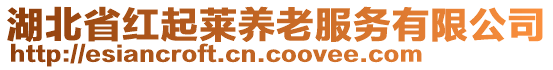 湖北省紅起萊養(yǎng)老服務(wù)有限公司