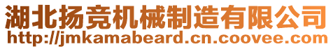 湖北揚競機械制造有限公司