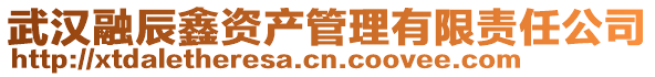 武汉融辰鑫资产管理有限责任公司