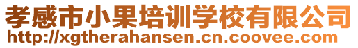 孝感市小果培训学校有限公司