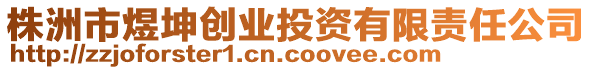 株洲市煜坤創(chuàng)業(yè)投資有限責(zé)任公司