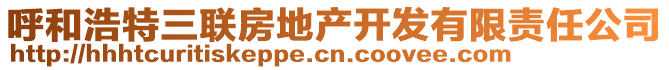 呼和浩特三聯(lián)房地產(chǎn)開發(fā)有限責(zé)任公司