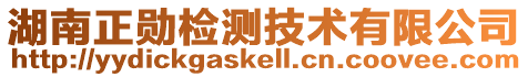 湖南正勋检测技术有限公司