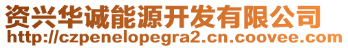 资兴华诚能源开发有限公司