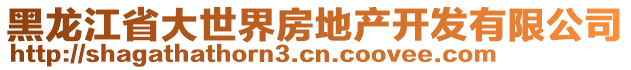 黑龍江省大世界房地產(chǎn)開發(fā)有限公司