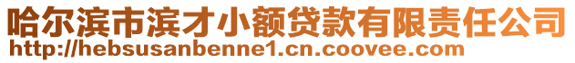 哈爾濱市濱才小額貸款有限責(zé)任公司