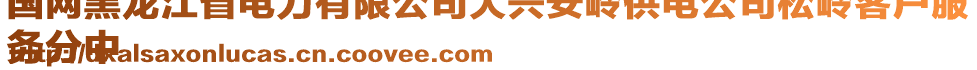 國(guó)網(wǎng)黑龍江省電力有限公司大興安嶺供電公司松嶺客戶服
務(wù)分中