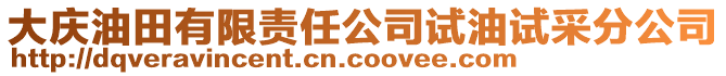 大庆油田有限责任公司试油试采分公司