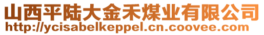 山西平陸大金禾煤業(yè)有限公司