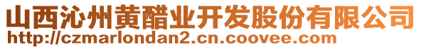 山西沁州黃醋業(yè)開發(fā)股份有限公司