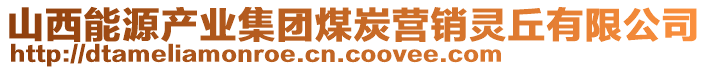 山西能源產(chǎn)業(yè)集團(tuán)煤炭營(yíng)銷(xiāo)靈丘有限公司