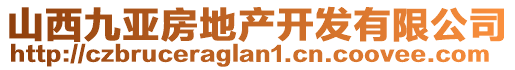 山西九亞房地產(chǎn)開發(fā)有限公司