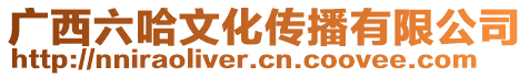 廣西六哈文化傳播有限公司