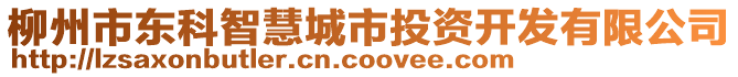 柳州市東科智慧城市投資開發(fā)有限公司