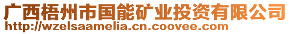 廣西梧州市國能礦業(yè)投資有限公司