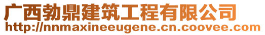 廣西勃鼎建筑工程有限公司