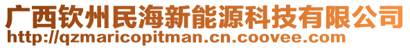 廣西欽州民海新能源科技有限公司