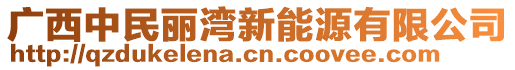 廣西中民麗灣新能源有限公司